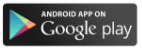 Google Play Store icon